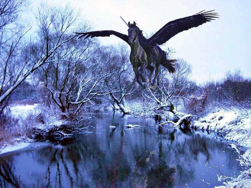 Black Winged Horse