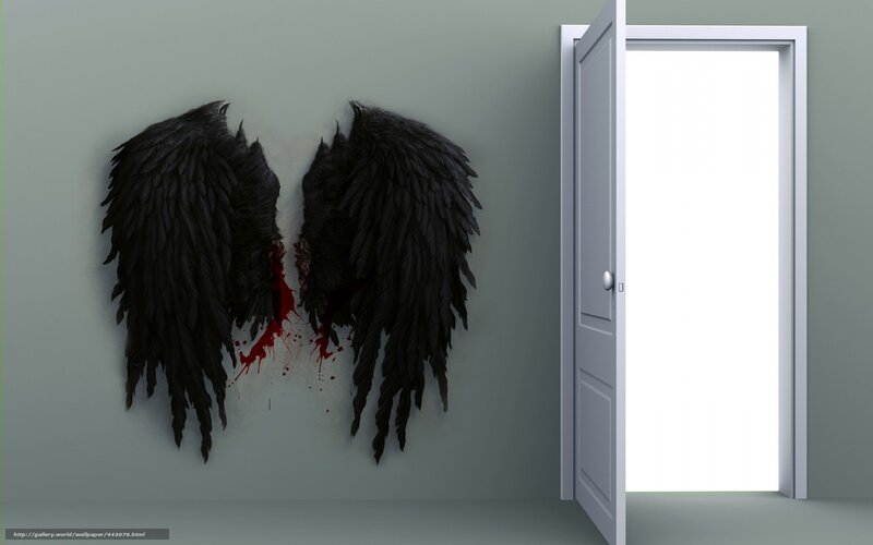 black wings on a wall