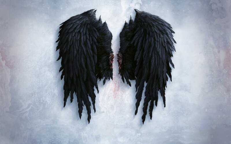 Black Wings on White Surface