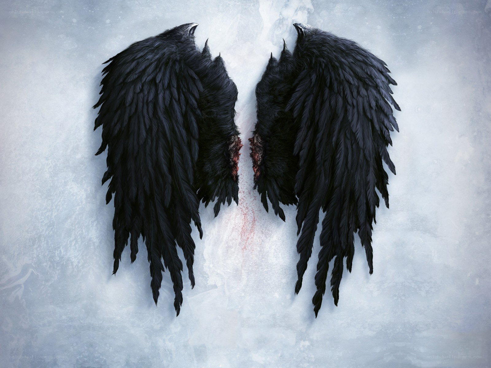 black wings with blood