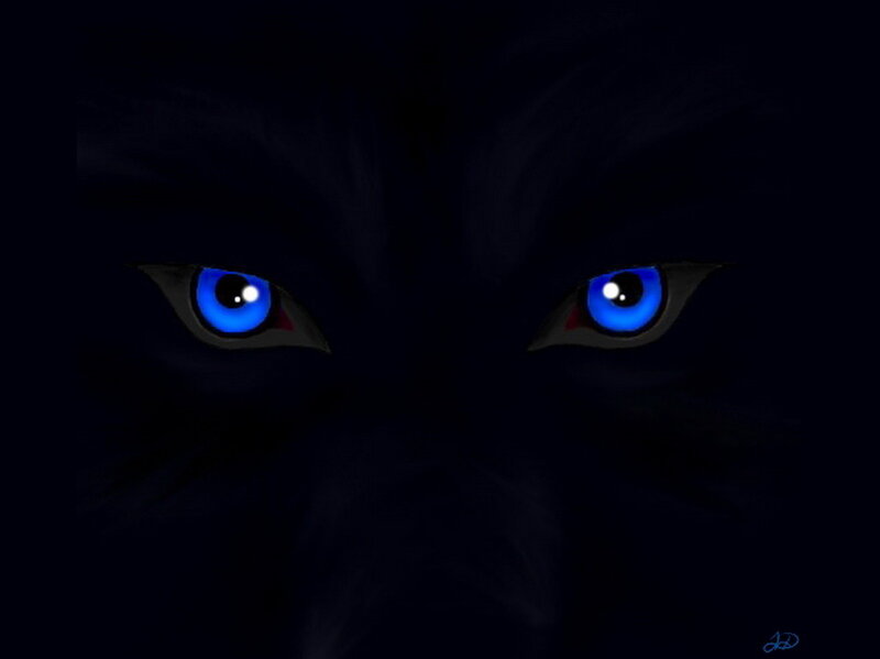 Black Wolf Eyes