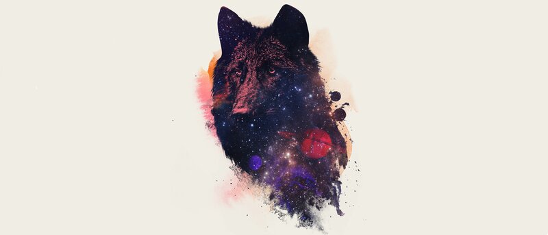 Black Wolf Head — Cosmic