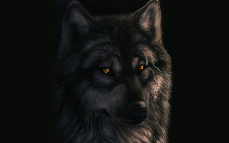 Black Wolf Head — Dramatic, Night, Digital Art, Eyes, Scar