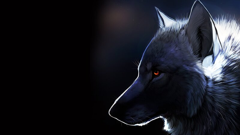 Black Wolf Head — Dramatic, Night, Digital Art, Eyes
