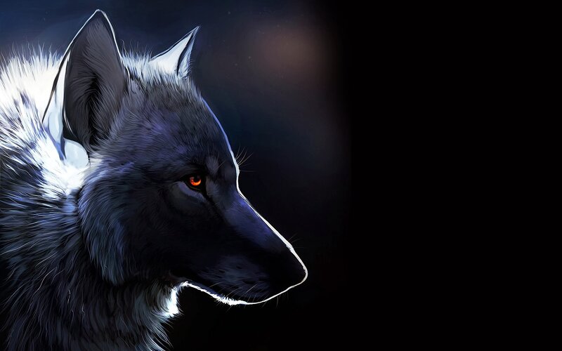 Black Wolf Head — Dramatic, Night, Digital Art