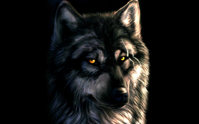 Black Wolf Head — Dramatic
