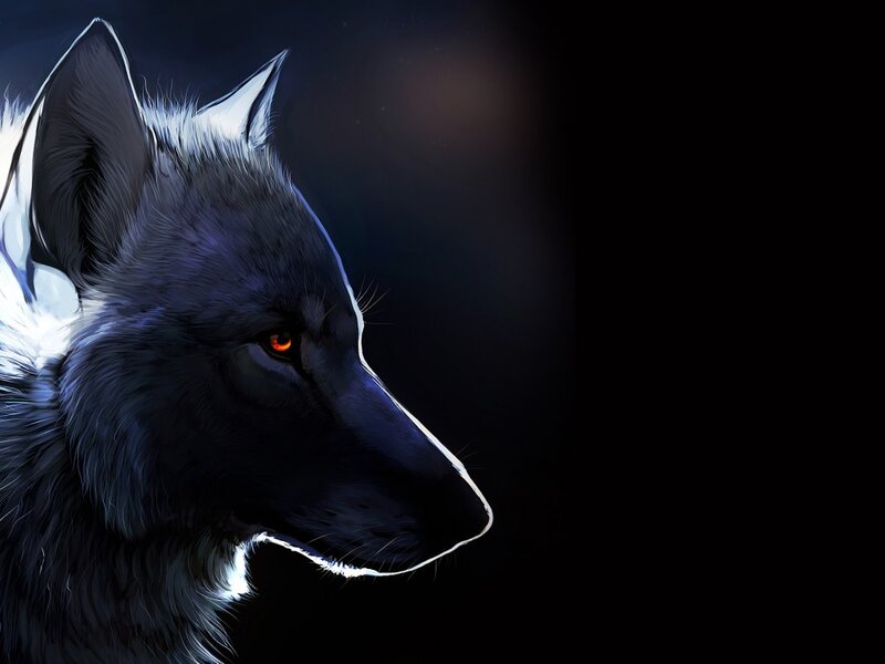 Black Wolf Head