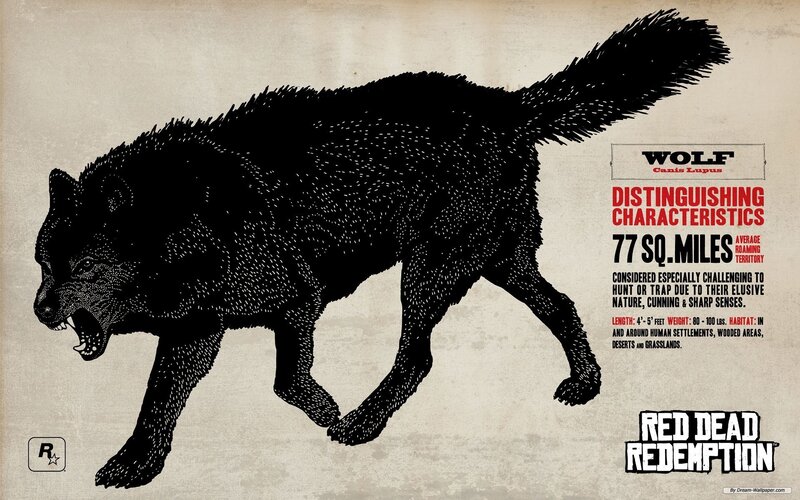 Black Wolf Illustration — Dramatic