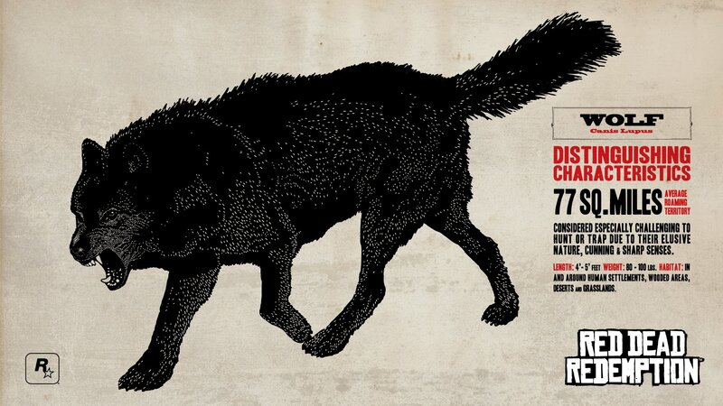 Black Wolf Illustration