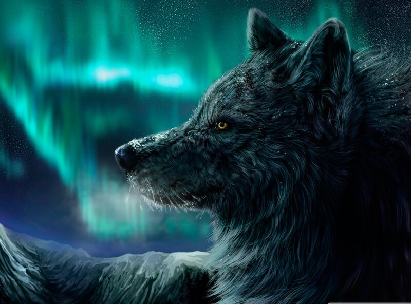 Black Wolf in Aurora — Green, Dramatic, Night, Digital Art, Aurora Borealis