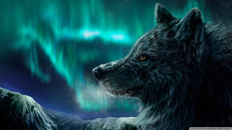 Black Wolf in Aurora — Green, Dramatic, Night, Digital Art