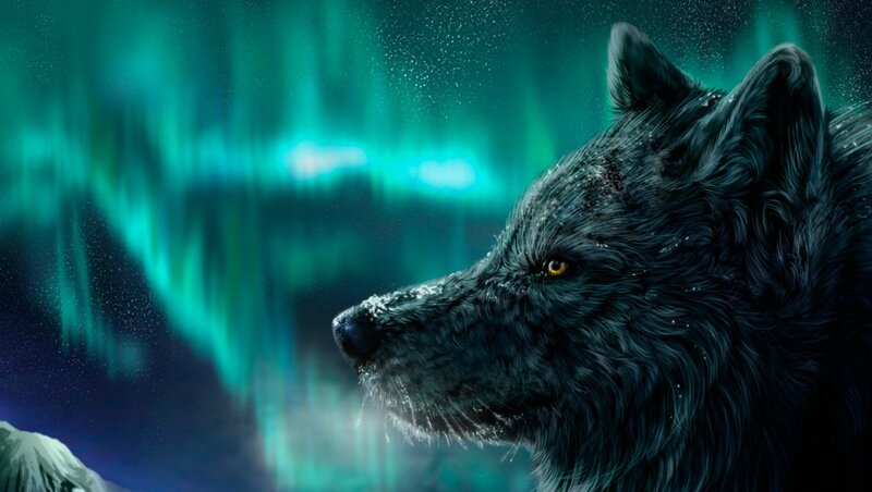 Black Wolf in Aurora — Green, Dramatic, Night