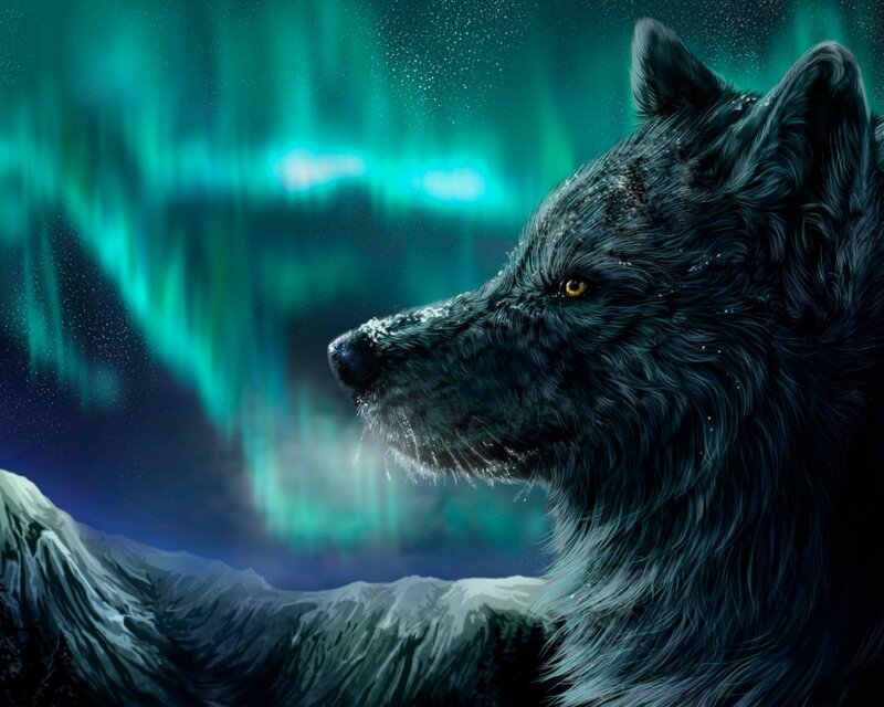 Black Wolf in Aurora — Green
