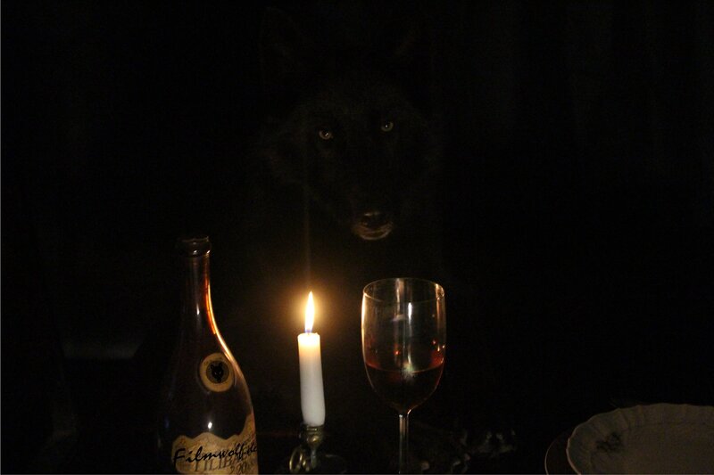 Black Wolf in Dark Room