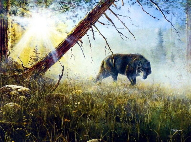 Black Wolf in Forest — Green, Dramatic, Morning