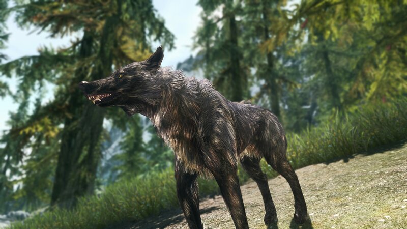 Black Wolf in Forest — Green, Natural, Afternoon