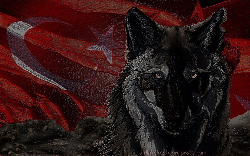 Black Wolf in Front of Flag