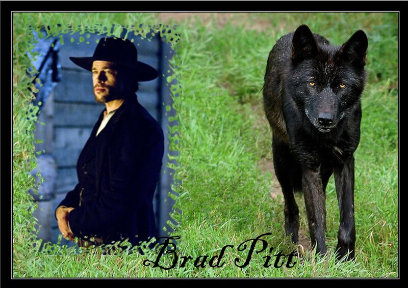 Black Wolf in Grass — Green
