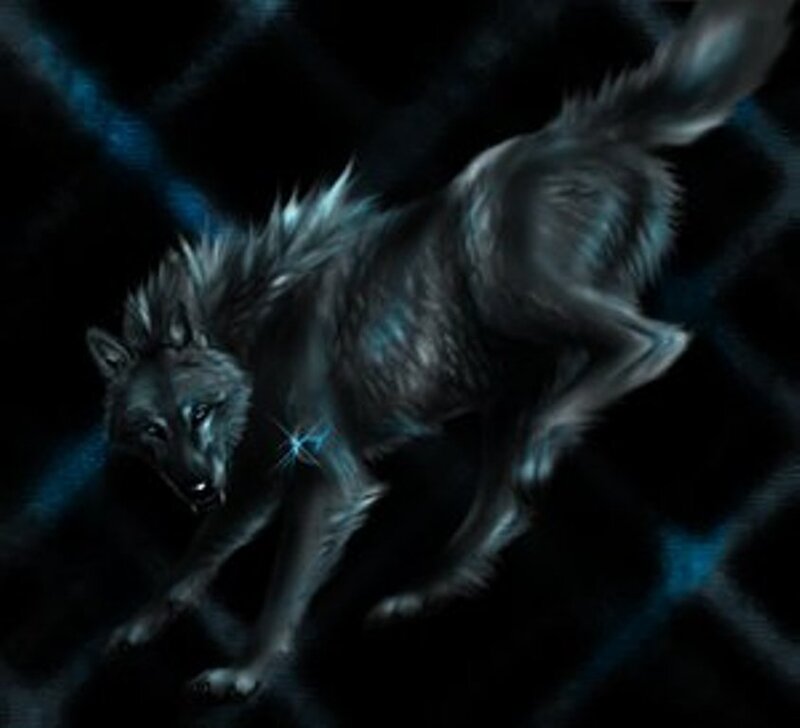 Black Wolf in Motion