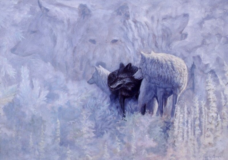 Black Wolf in Pack