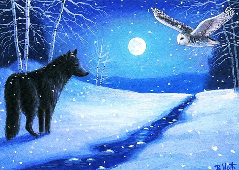 Black Wolf in Snow — Blue, Serene