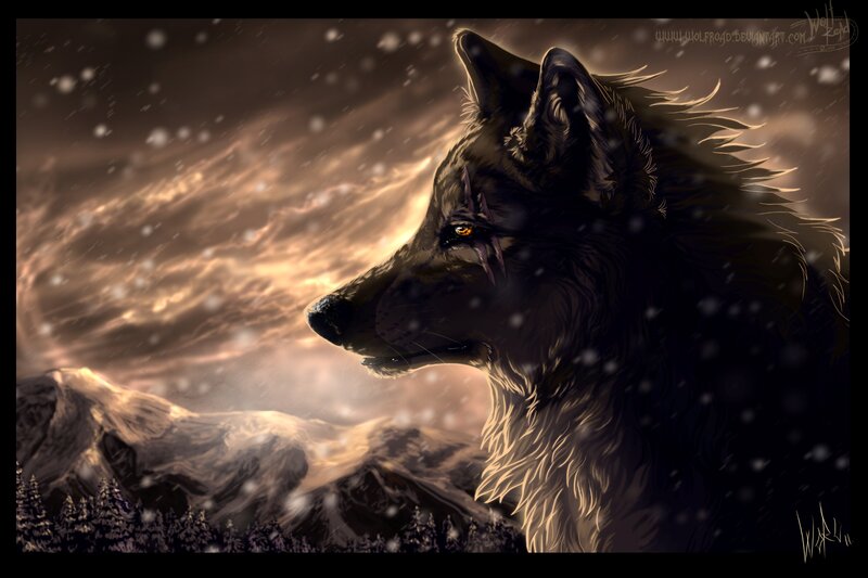 Black Wolf in Snow — Brown, Dramatic