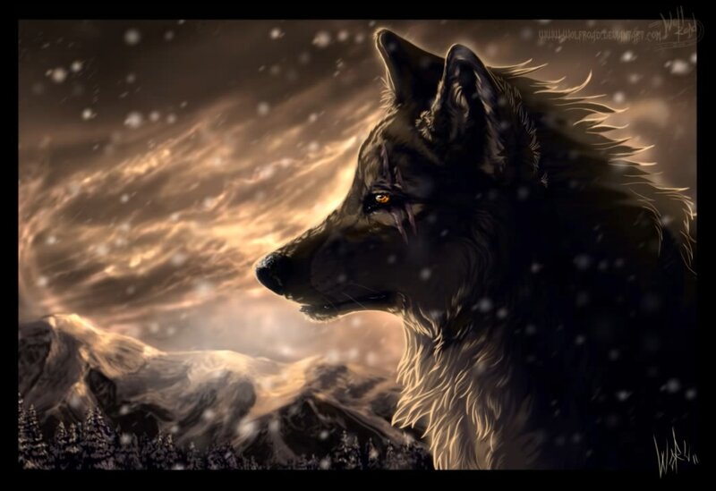 Black Wolf in Snow — Brown, Dramatic, Winter, Digital Art