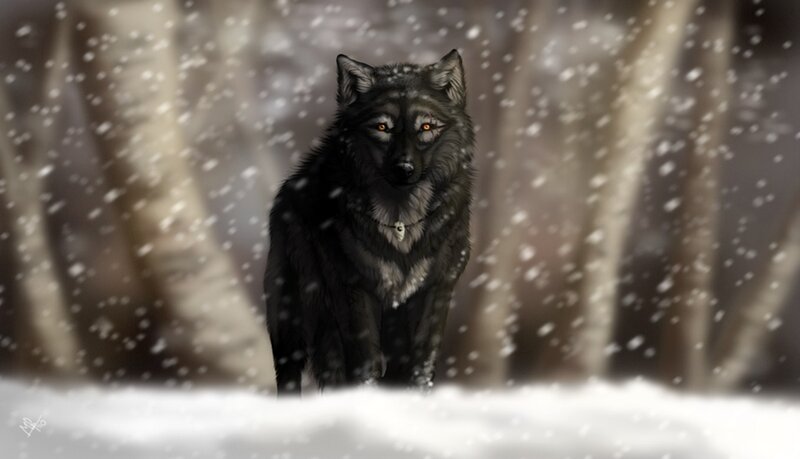 Black Wolf in Snow — Dramatic, Winter, Digital Art