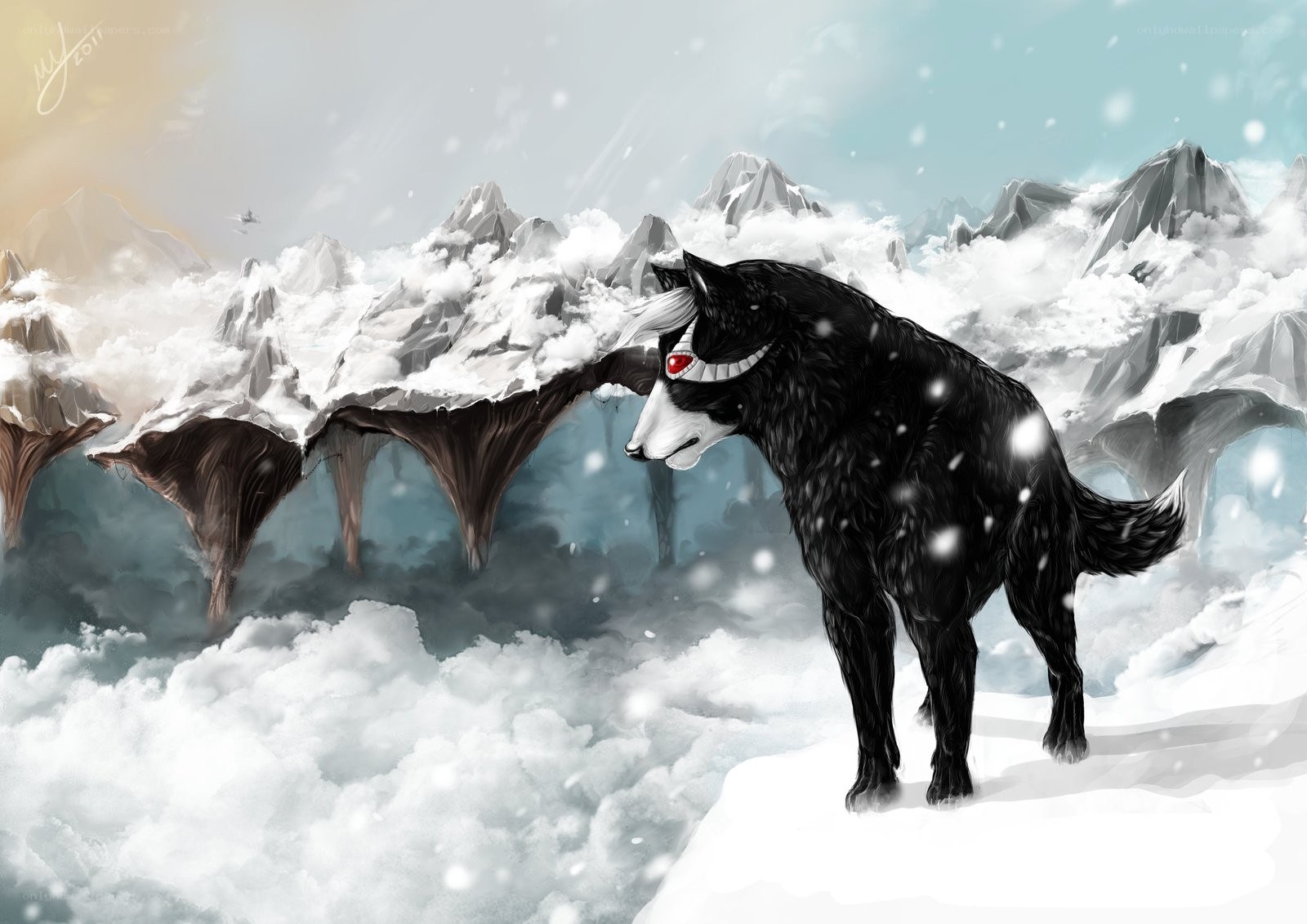 black wolf in snowy mountains
