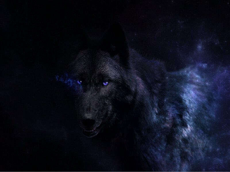 Black Wolf in Space