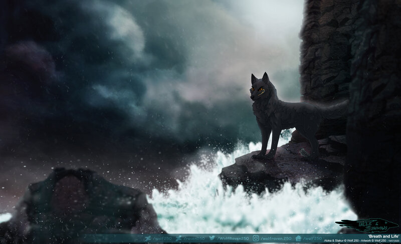 Black Wolf on Cliff — Gray