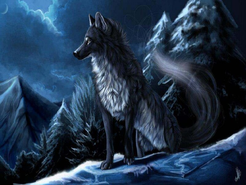 Black Wolf on Mountain — Blue