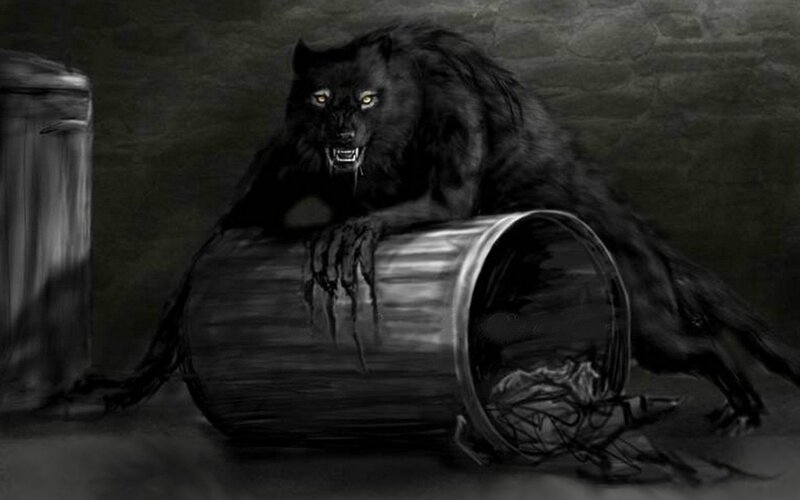 Black Wolf on Trash Can