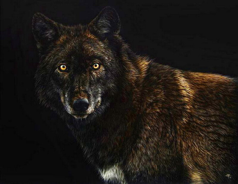 Black Wolf Portrait