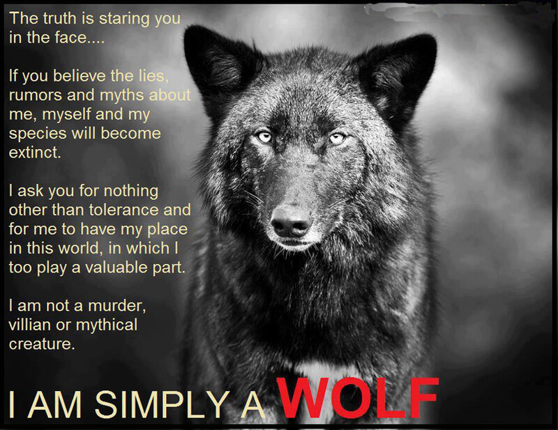 Black Wolf — Serious