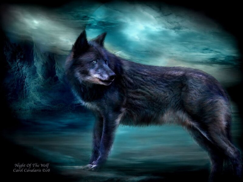 Black Wolf Standing — Blue