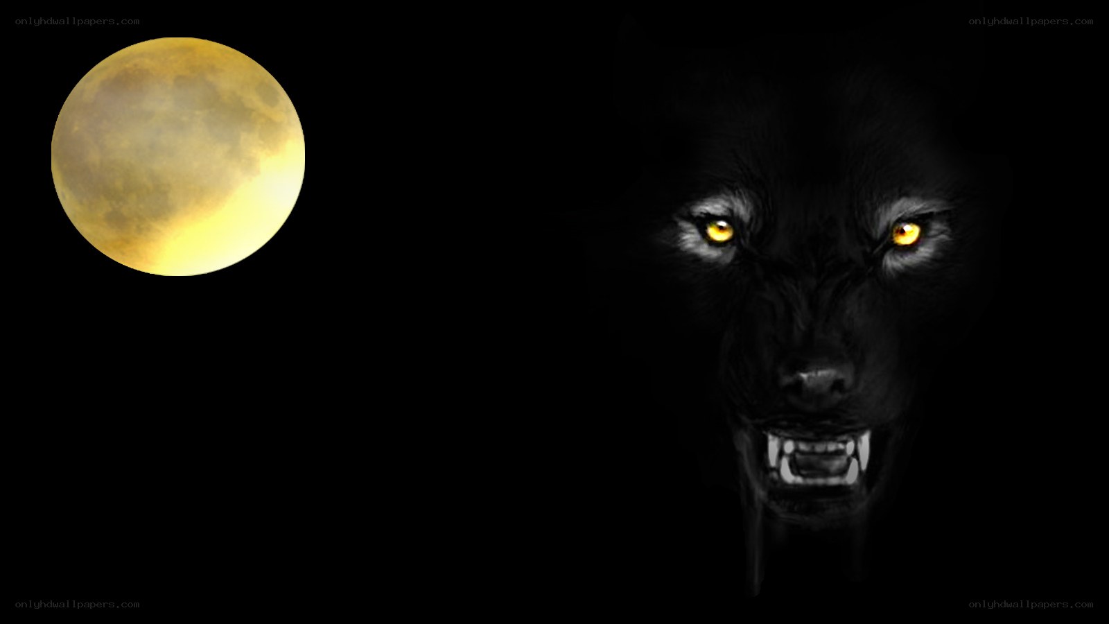 black wolf under yellow moon