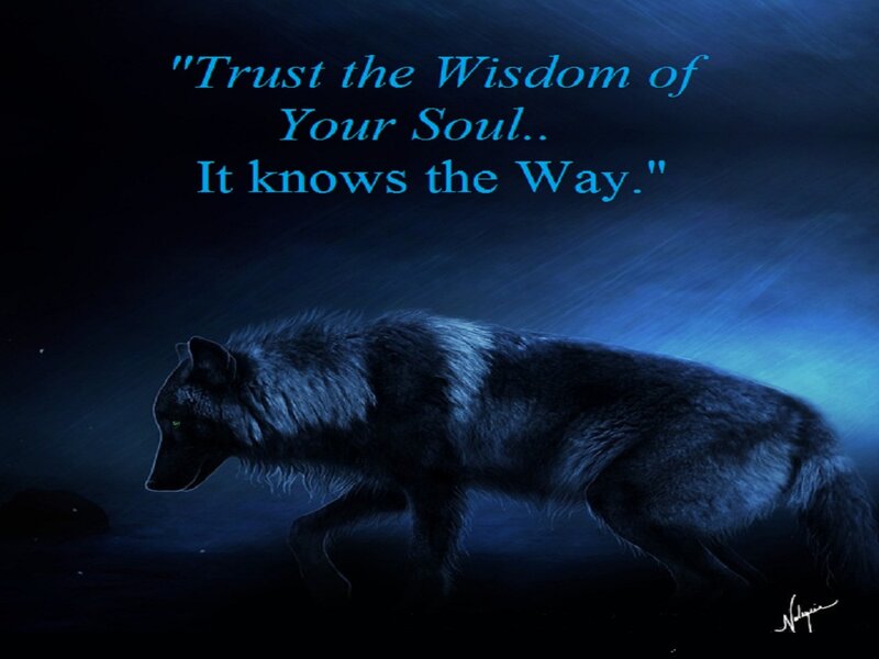 Black Wolf Walking — Blue