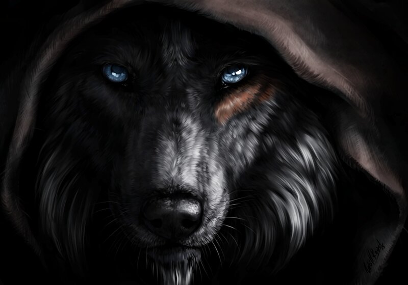 Black Wolf with Blue Eyes — Dramatic, Digital Art