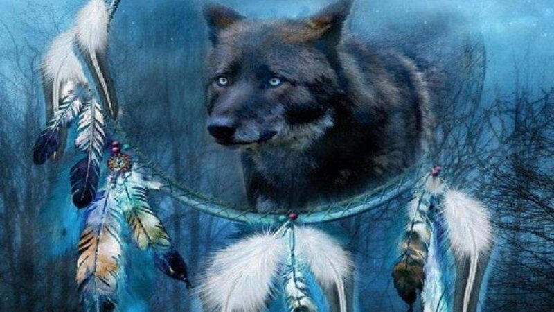 Black Wolf with Dreamcatcher — Blue