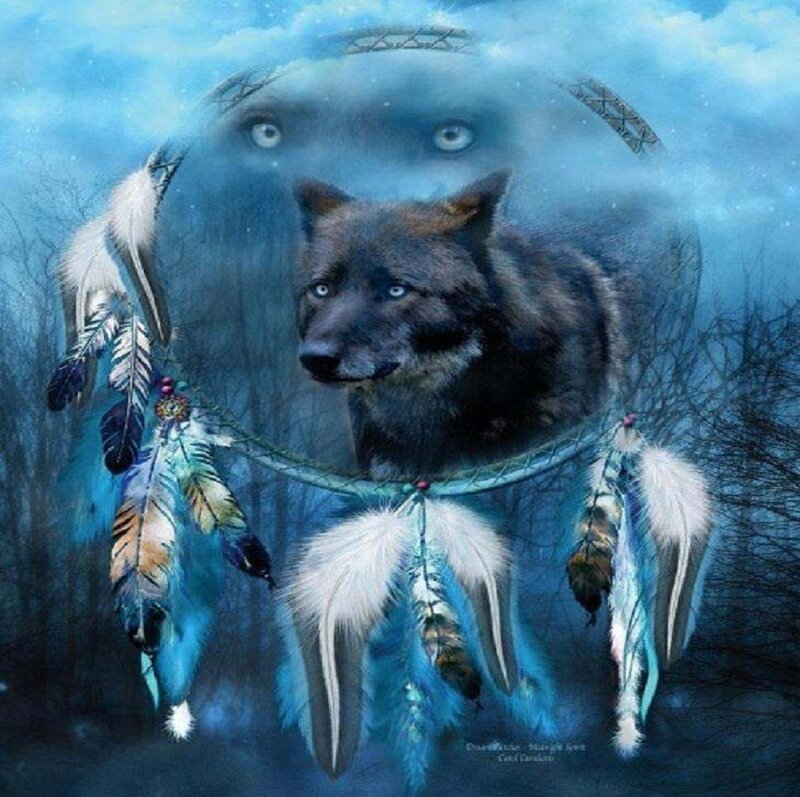 Black Wolf with Dreamcatcher