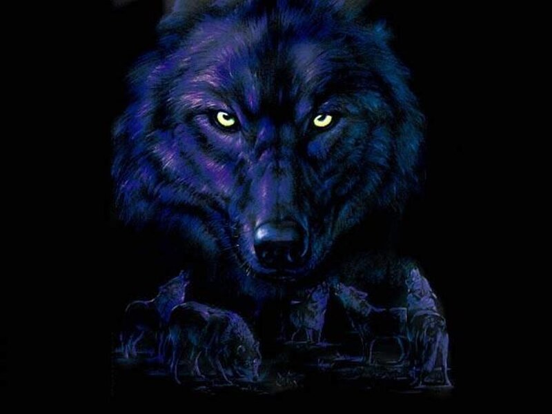 Black Wolf with Glowing Eyes — Blue