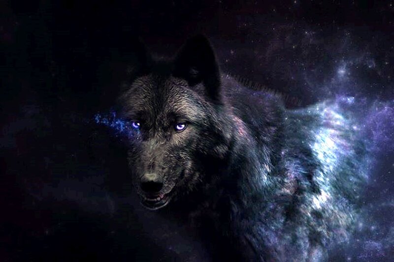 Black Wolf with Glowing Eyes — Dramatic, Night, Digital Art