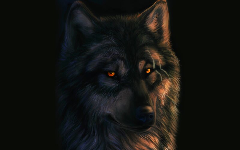 Black Wolf with Glowing Eyes — Dramatic, Night