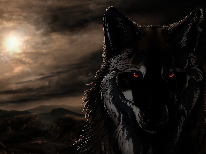 Black Wolf with Glowing Eyes — Dramatic, Sunset