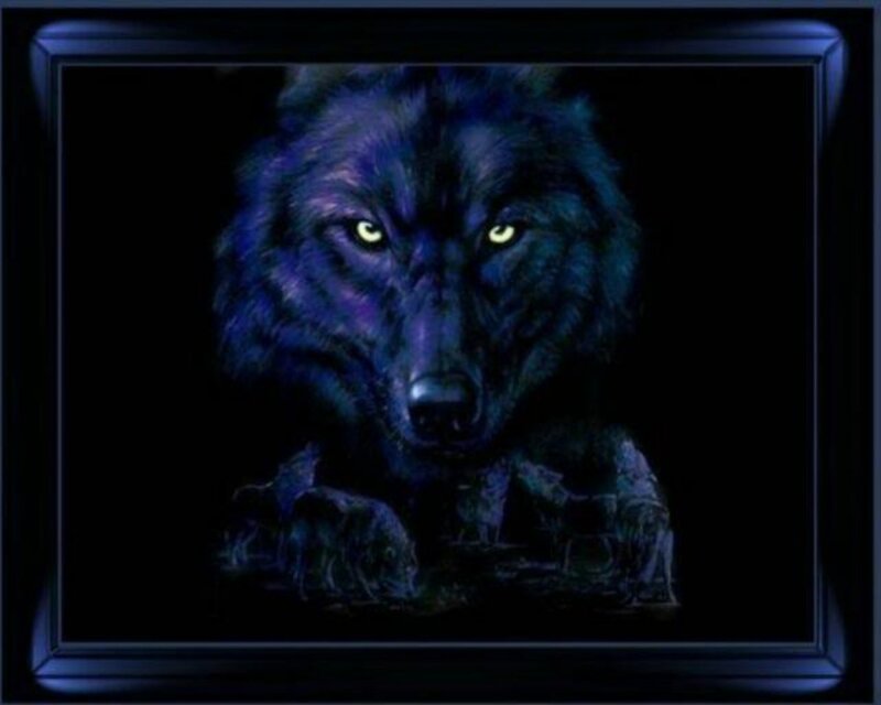 Black Wolf with Glowing Eyes — Dramatic