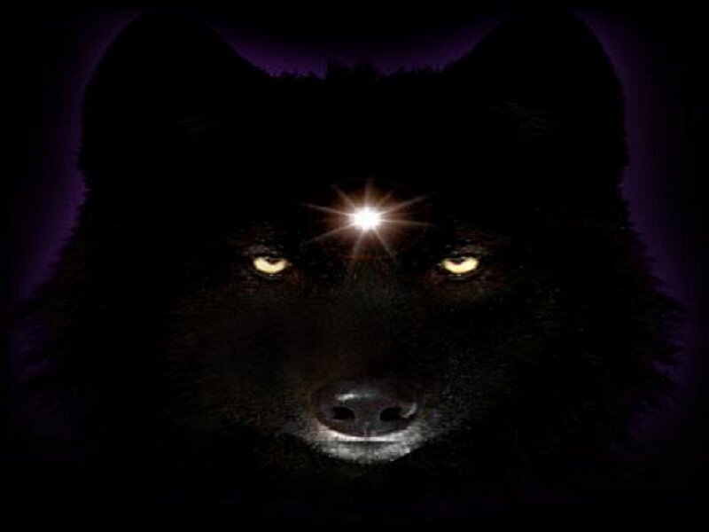 Black Wolf with Glowing Eyes — Mystical