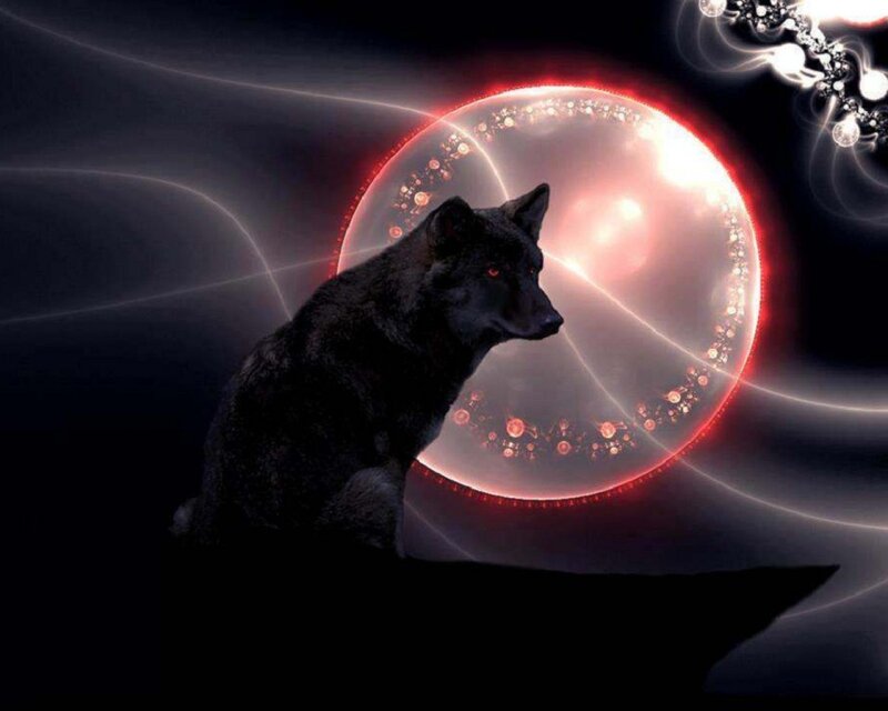 black wolf with glowing moon