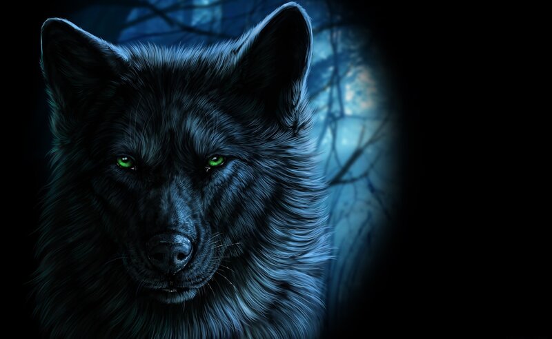 Black Wolf with Green Eyes — Blue