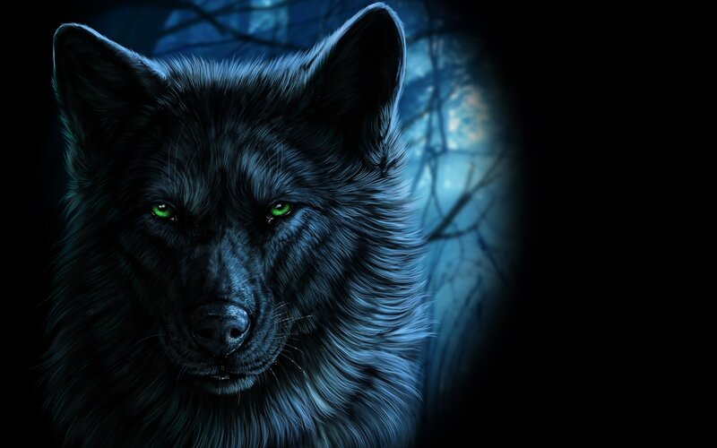 Black Wolf with Green Eyes — Dark